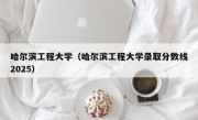 哈尔滨工程大学（哈尔滨工程大学录取分数线2025）