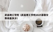 武昌理工学院（武昌理工学院2025录取分数线是多少）