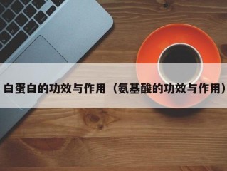 白蛋白的功效与作用（氨基酸的功效与作用）