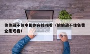 偷偷藏不住电视剧在线观看（偷偷藏不住免费全集观看）