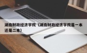 湖南财政经济学院（湖南财政经济学院是一本还是二本）