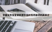 中国女外交官穿防弹衣组织苏丹撤侨的简单介绍