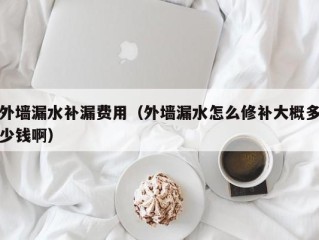 外墙漏水补漏费用（外墙漏水怎么修补大概多少钱啊）