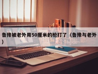 鲁豫被老外用50厘米的枪打了（鲁豫与老外）