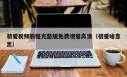 初爱视频教程完整版免费观看高清（初爱啥意思）