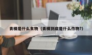青稞是什么食物（青稞到底是什么作物?）