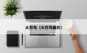火烈鸟（火烈鸟图片）