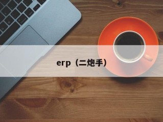 erp（二炮手）