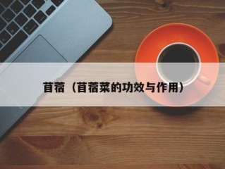 苜蓿（苜蓿菜的功效与作用）