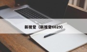新视觉（新视觉6029）