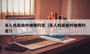 无人机航拍时被鹰叼走（无人机航拍时被鹰叼走!）