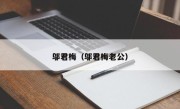 邬君梅（邬君梅老公）