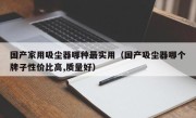 国产家用吸尘器哪种最实用（国产吸尘器哪个牌子性价比高,质量好）