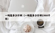 一吨是多少斤啊（一吨是多少斤啊1960千克）