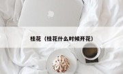 桂花（桂花什么时候开花）