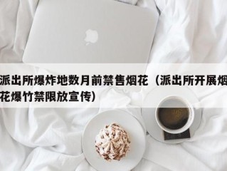 派出所爆炸地数月前禁售烟花（派出所开展烟花爆竹禁限放宣传）