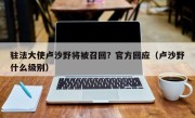 驻法大使卢沙野将被召回？官方回应（卢沙野什么级别）