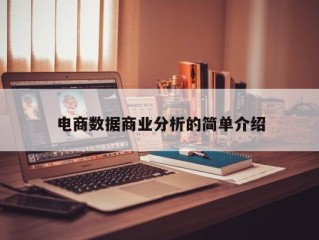 电商数据商业分析的简单介绍