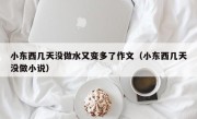 小东西几天没做水又变多了作文（小东西几天没做小说）