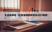 比亚迪海豚（比亚迪海豚纯电车2025新款）