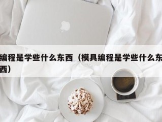 编程是学些什么东西（模具编程是学些什么东西）