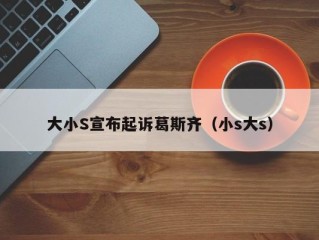 大小S宣布起诉葛斯齐（小s大s）