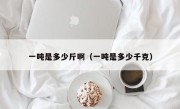 一吨是多少斤啊（一吨是多少千克）