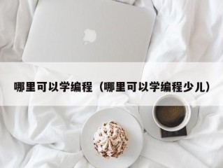 哪里可以学编程（哪里可以学编程少儿）