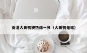 香港大黄鸭被热爆一只（大黄鸭是啥）