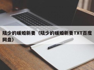 陆少的暖婚新妻（陆少的暖婚新妻TXT百度网盘）