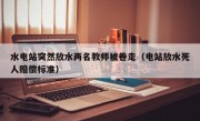 水电站突然放水两名教师被卷走（电站放水死人赔偿标准）