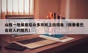 山西一地暴雨后众多市民上街捞鱼（我要看巴齿巨人的图片）