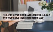 小米上亿资产遭冻结申诉被印度驳回（小米上亿资产遭冻结申诉被印度驳回是真的吗）